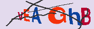 キャプチャ(CAPTCHA)認証コード