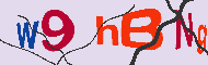 キャプチャ(CAPTCHA)認証コード