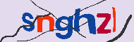 キャプチャ(CAPTCHA)認証コード