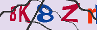 キャプチャ(CAPTCHA)認証コード