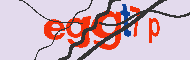 キャプチャ(CAPTCHA)認証コード