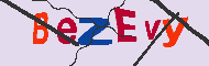 キャプチャ(CAPTCHA)認証コード