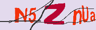 キャプチャ(CAPTCHA)認証コード