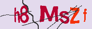 キャプチャ(CAPTCHA)認証コード