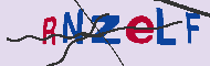 キャプチャ(CAPTCHA)認証コード